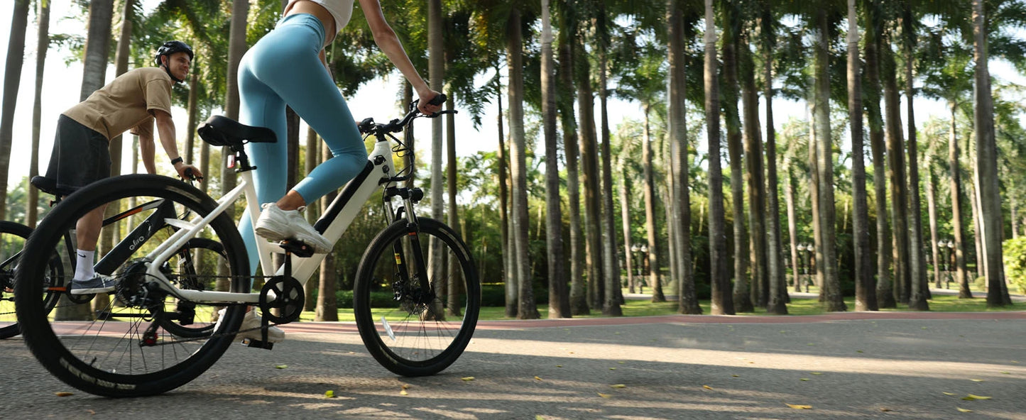 eBike Boys 750W Electric Bike - Step-Through Frame, 36V Battery