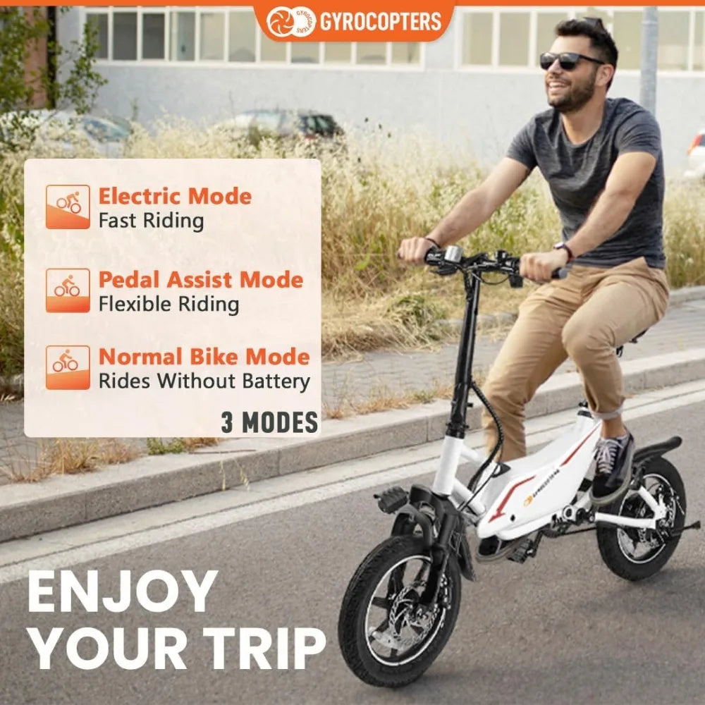 eBike Boys Folding Electric Bike - 350W Motor, Compact Design