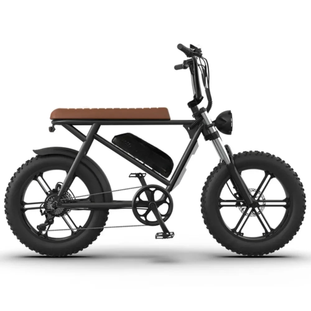 Vélo électrique avec moteur 750 W et batterie au lithium 48 V 13 Ah