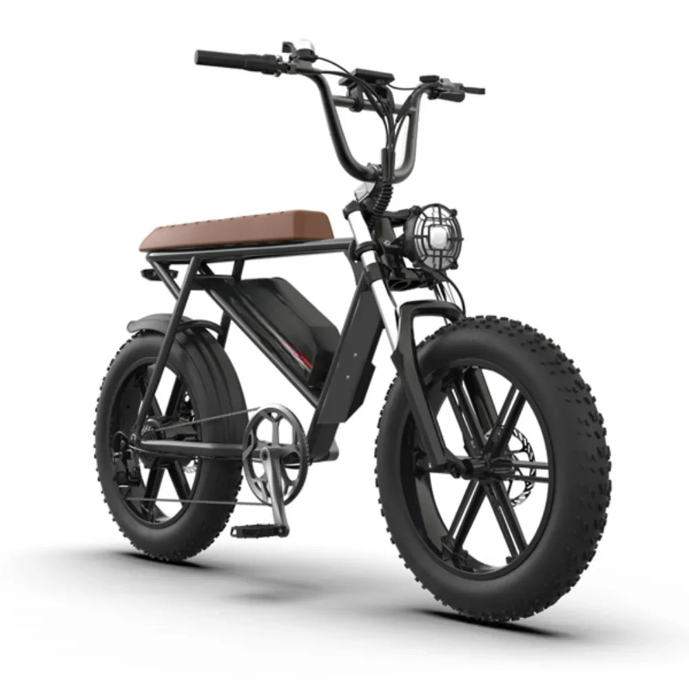 Vélo électrique avec moteur 750 W et batterie au lithium 48 V 13 Ah