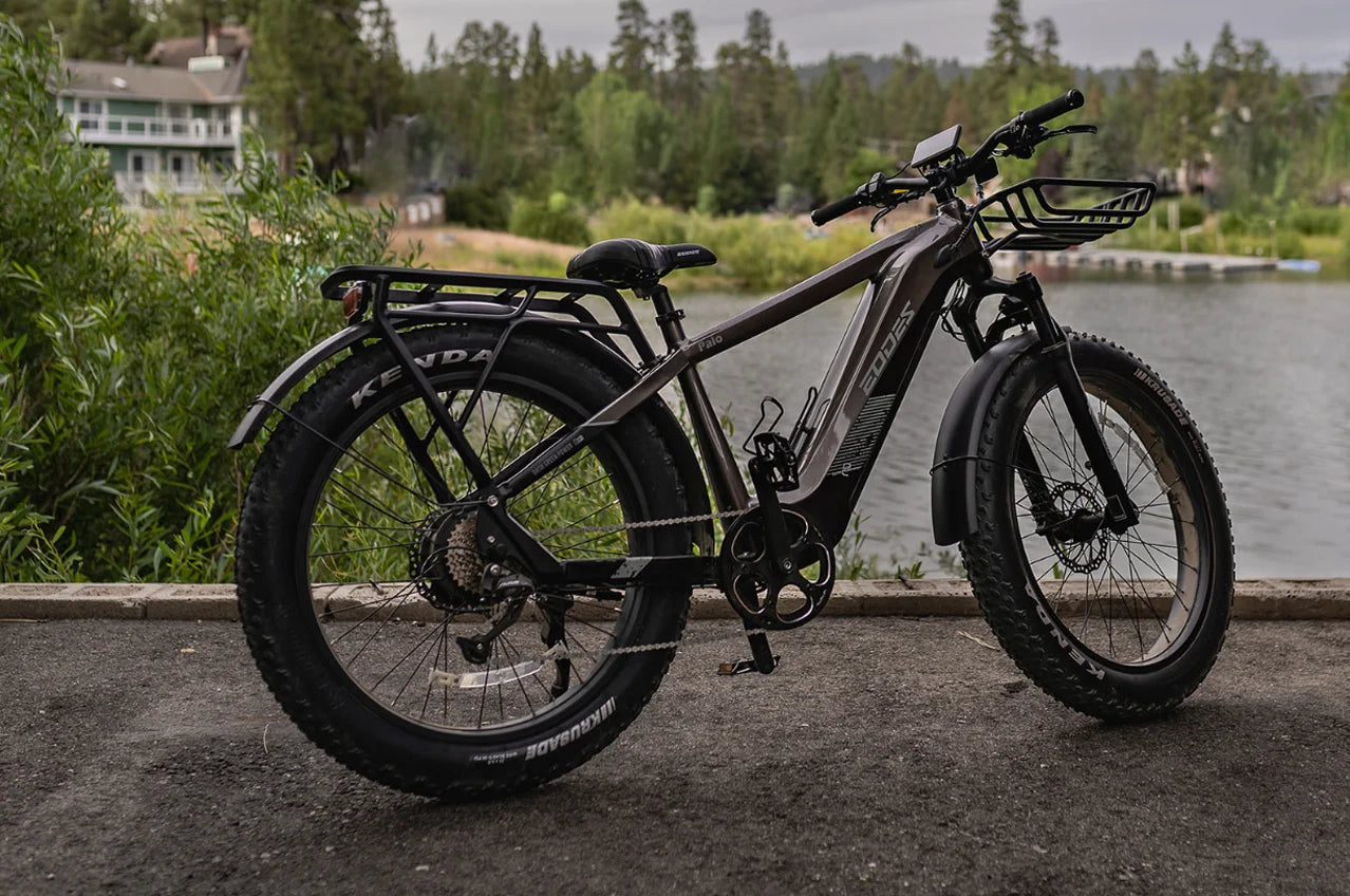 Vélo électrique pour adulte de haute qualité 52V750W 17AH