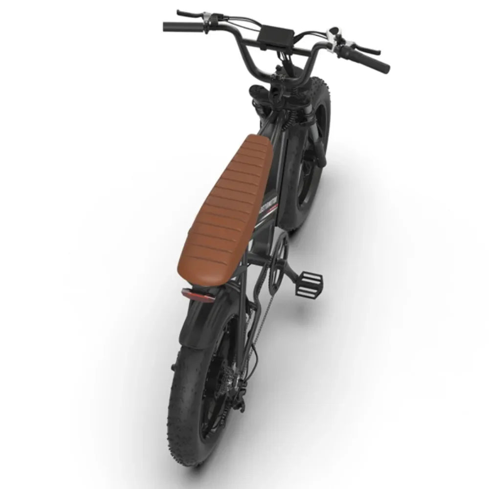 Vélo électrique avec moteur 750 W et batterie au lithium 48 V 13 Ah