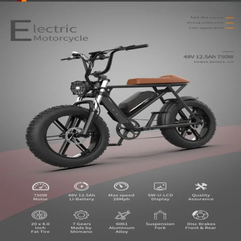 Vélo électrique avec moteur 750 W et batterie au lithium 48 V 13 Ah