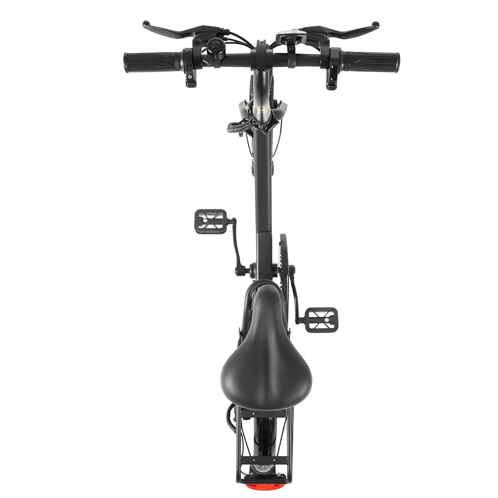 DYU-C3 Adult Folding Electric Bike