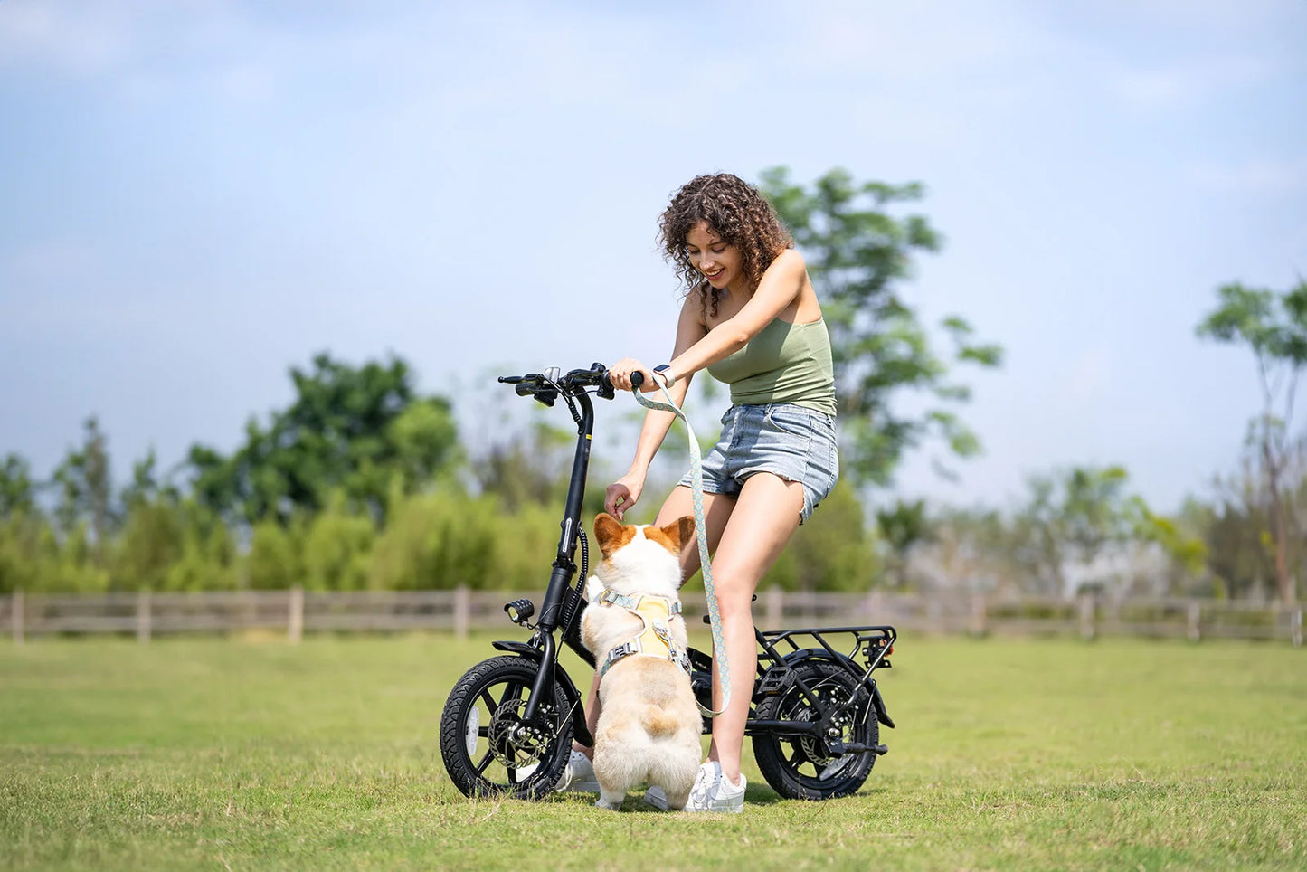 DYU-C3 Adult Folding Electric Bike