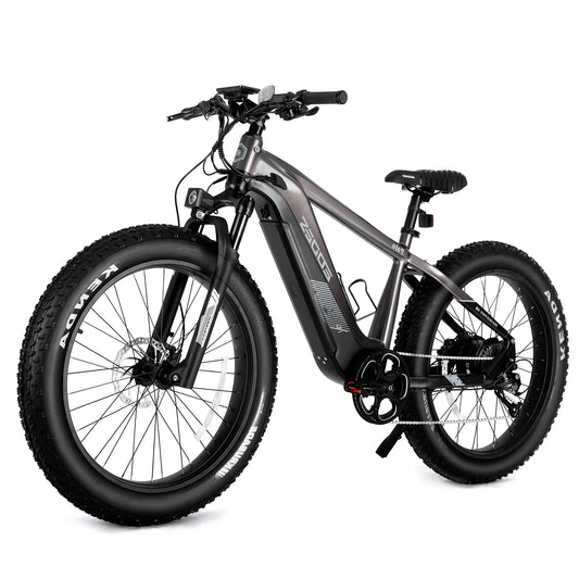52V750W 17AH High-Quality Adult eBike