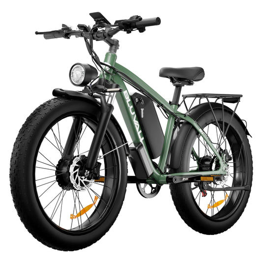 2000W Dual Motor Electric Bike for All Seasons