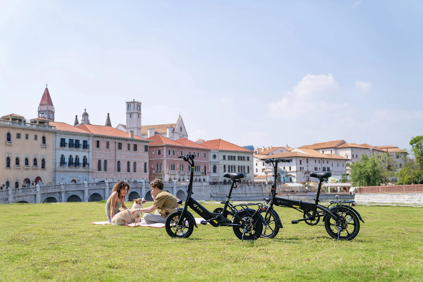 DYU-C3 Adult Folding Electric Bike