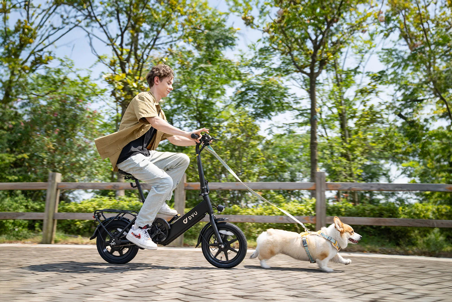 DYU-C3 Adult Folding Electric Bike